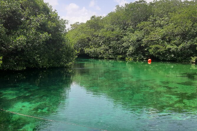 Private Cenotes tour - Cenote Nicte-ha: freshwater beneath the rock