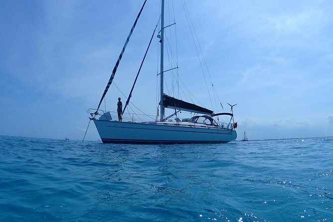 Private Customizable Sailing Tour in Cancun - What This Cancun Sailing Trip Actually Feels Like