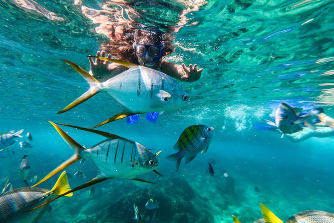 Private Day Trip to San José & Cabo San Lucas - Lunch, local crafts, and the flexible middle of the day