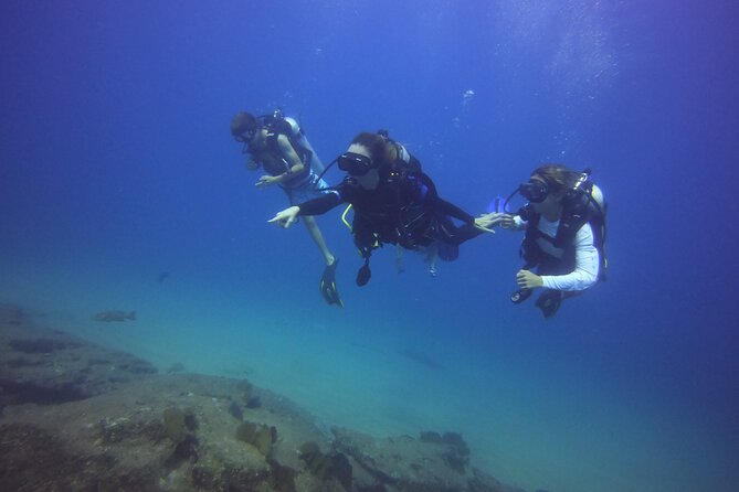 Private Dive Boat for Certified Divers - Cabo San Lucas - Why a private boat changes the Cabo experience