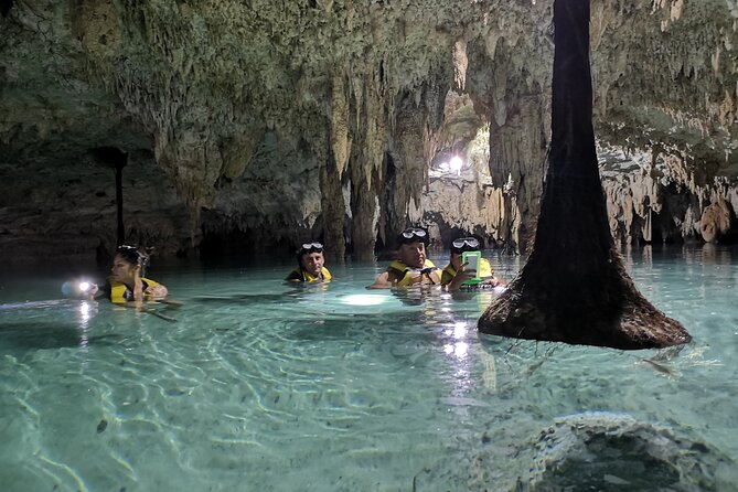 Private Dream Underground World (Off the beaten path Cenote cavernous exploring) - The guide can make or break the morning