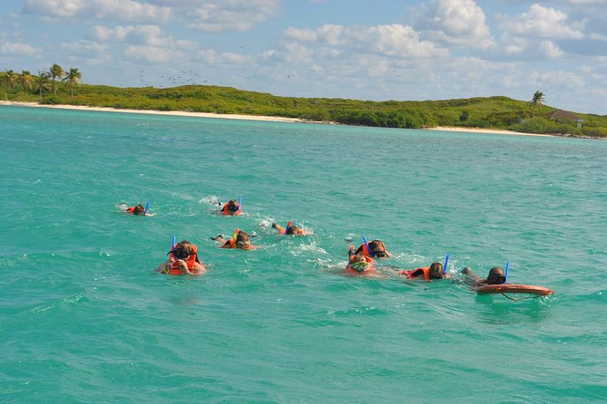 Private Escape: Isla Contoy & Isla Mujeres with Snorkeling - Isla Mujeres and Playa Norte in One Hour