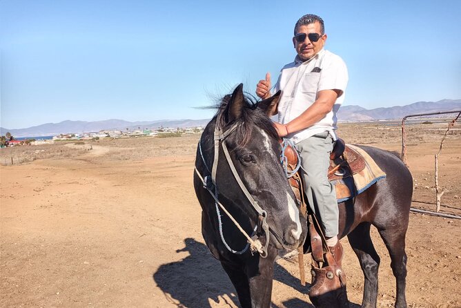 Private excursion to the bufadora and horseback riding on the beach - La Bufadora, where the sea puts on a show