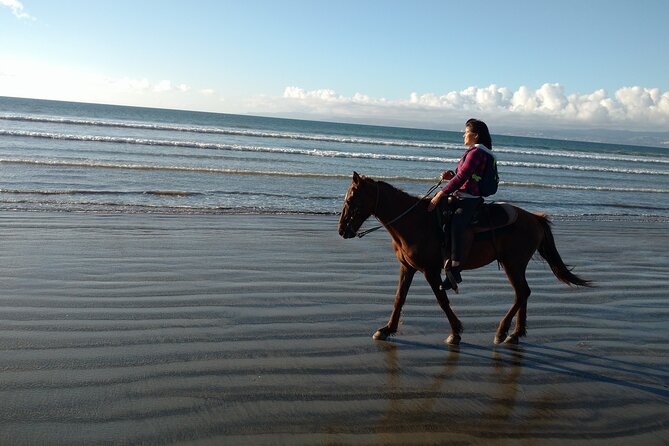 Private excursion to the bufadora and horseback riding on the beach - Food tips that add real local flavor