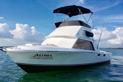 Private fishing charter Bertram 31ft 6 pax max if you don’t fish you don’t pay