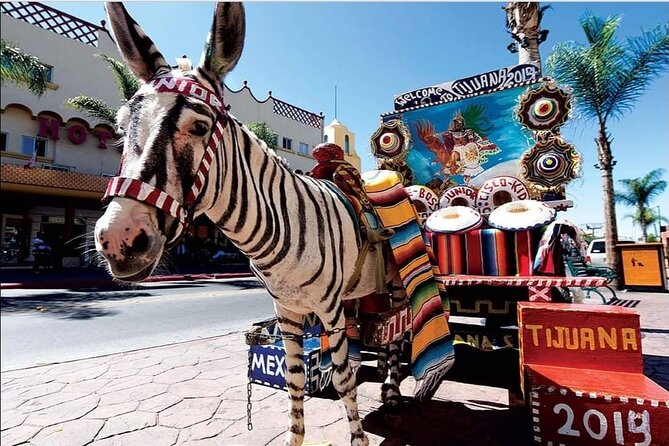 Private Full-Day Guided Tour of Tijuana - CECUT and the Pacific border wall