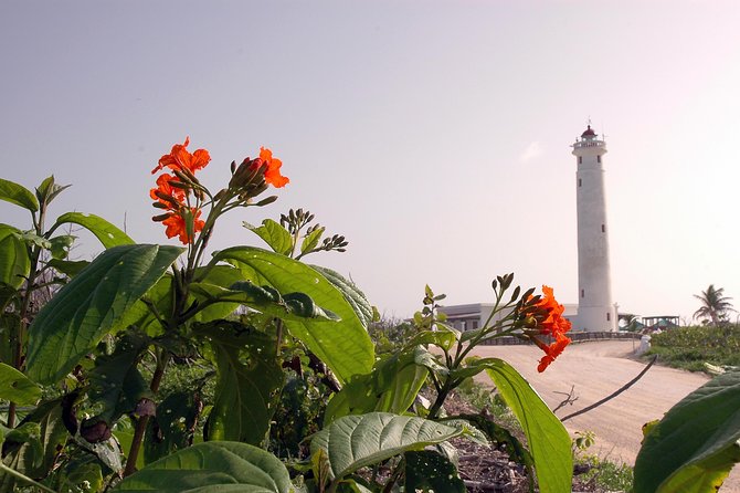 Private Island Tour at Your Leisure - Starting at the pier, hotel, or Airbnb