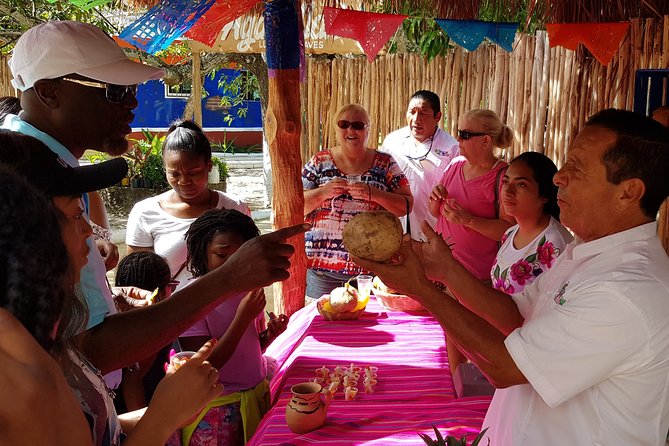 Private Island Tour at Your Leisure - Maya culture, chocolate, and island history