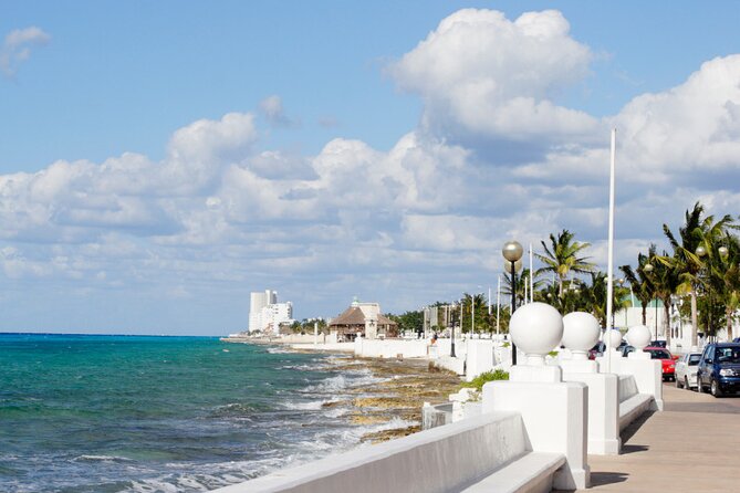 Private Jeep and 4x4 Polaris RZR Tour with Mexican Lunch - The RZR course at Sabores de Cozumel Park