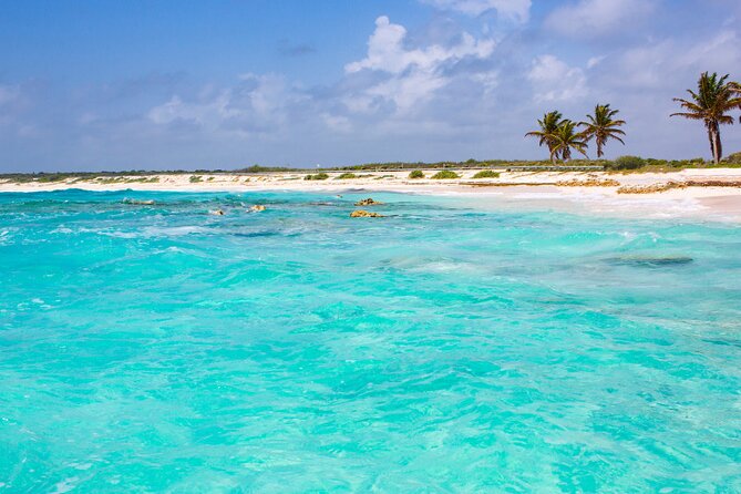Private Jeep and 4x4 Polaris RZR Tour with Mexican Lunch - Mexican lunch and downtime at Coco’s Beach Club