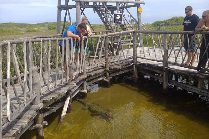 Private Jeep Excursion in Cozumel with Lunch and Snorkeling - Meeting your guide outside the cruise terminals