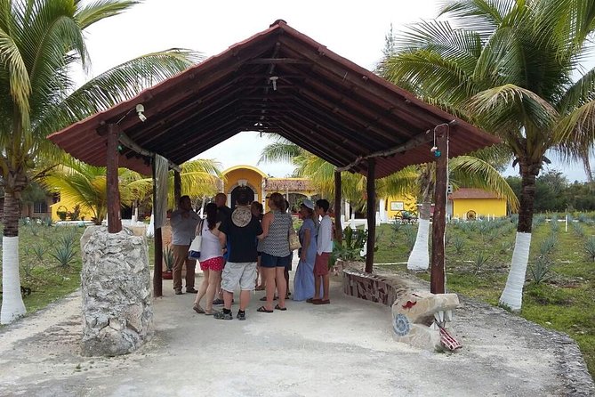Private Jeep Excursion in Cozumel with Lunch and Snorkeling - Chankanaab: snorkeling, park time, and realistic expectations