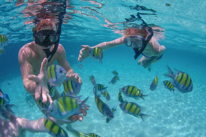 Private Luxury Sailing Cruise in Los Cabos with Lunch and Open Bar - Hotel pickup takes more time than the cruise itself