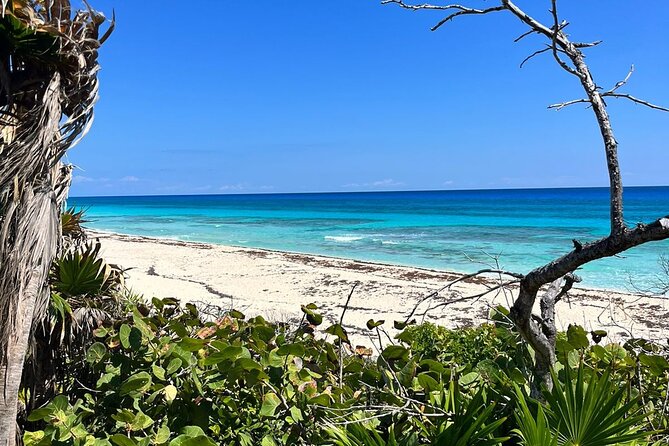 Private Mayan Ruins Tour with Cenote/caves and Mexican Picnic - Private transport and pickup require clear communication