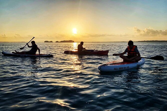 Private Paddle Tour at Sunrise - Returning for fruit, coffee, and light refreshments