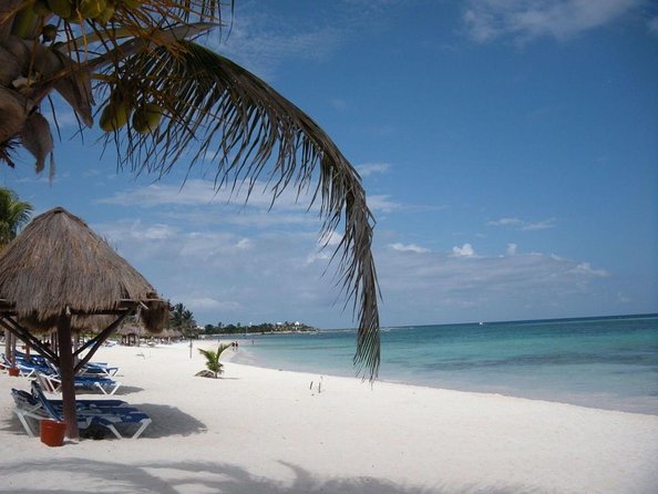 Private Snorkeling with Sea Turtles in Akumal Beach - Key points before you book