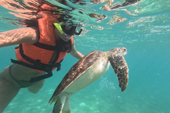 Private Snorkeling with Sea Turtles in Akumal Beach - What the $65.57 price really buys you