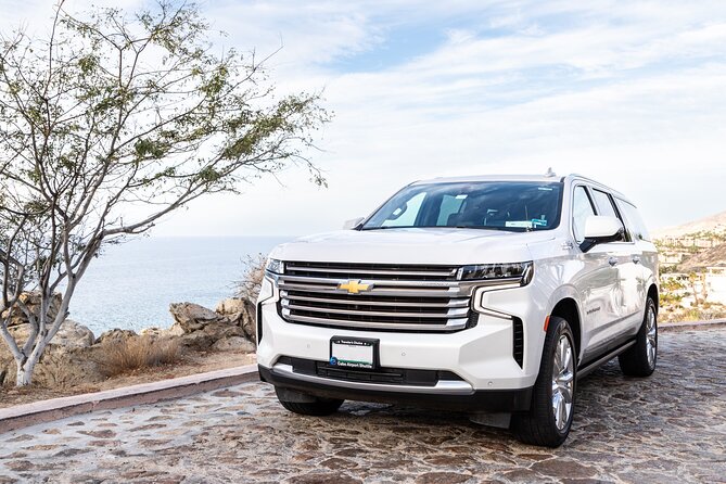 Private SUV Round-Trip from Airport to Hotels in Puerto Los Cabos - Child Seats, Service Animals, and Group Needs