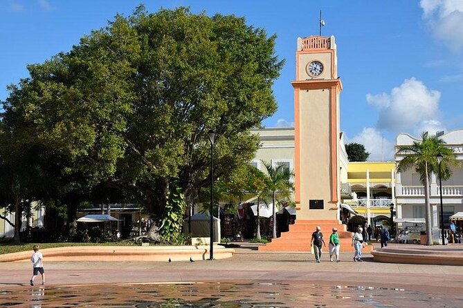 Private Tour: 5-Hour Cozumel Sightseeing with Private Driver and Tequila Tasting - El Mirador and Cozumel’s rougher east coast