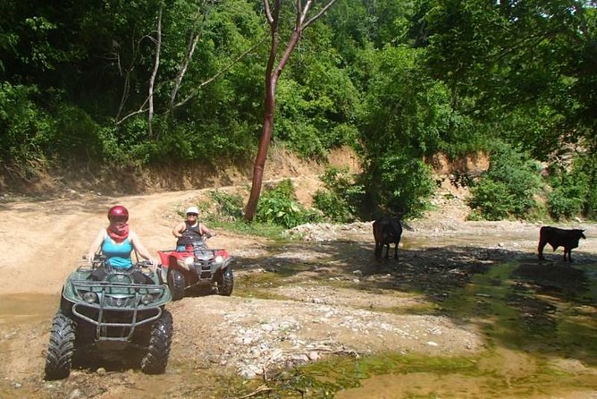 Private Tour: ATV SIERRA MADRE rivers with Tequila Tasting - Morning or afternoon, and how to prepare