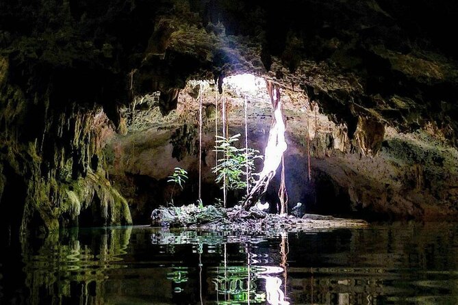 Private Tour Cenotes Sac Actun The Longest Underground River - The guides make the private format worthwhile