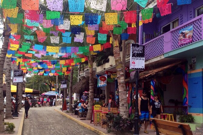 Private Tour, Sayulita & San Pancho - Why this private day trip works well from Puerto Vallarta