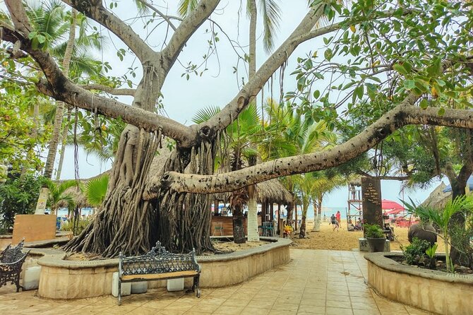 Private Tour, Sayulita & San Pancho - San Pancho: an easygoing start by the beach