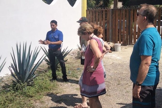 Private Tour, Sayulita & San Pancho - Sayulita’s market, streets, and beach