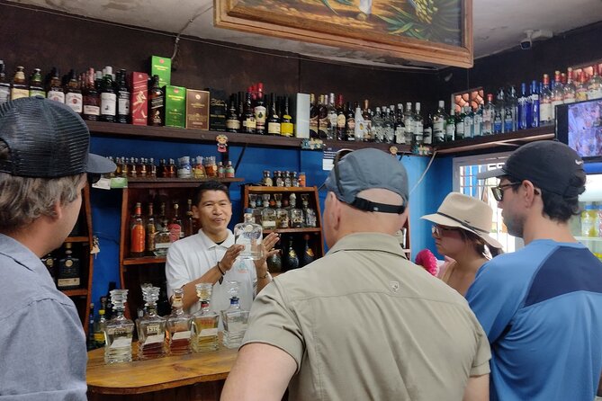 Private Tour, Sayulita & San Pancho - Price, comfort, and who gets good value