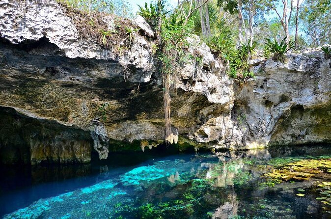 Private Tour The Best Cenotes in Tulum Riviera Maya - Key points at a glance