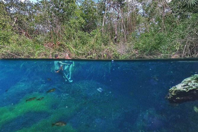 Private Tour The Best Cenotes in Tulum Riviera Maya - Is $199 per person good value?