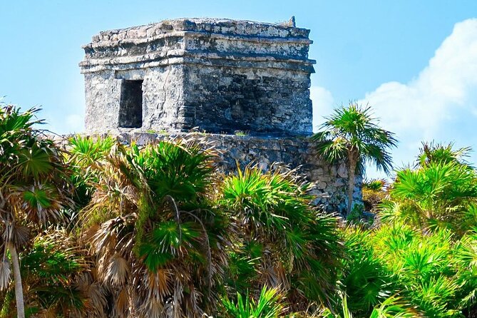 Private Tour to Tulum, Cenote and Swimming with Turtles - What the $410 price really covers