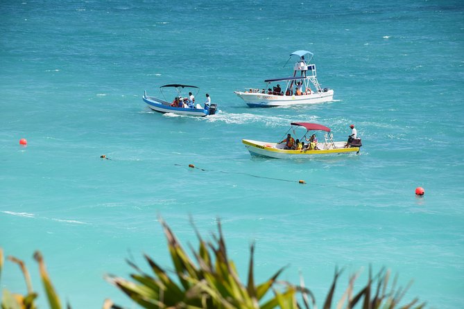 Private Tulum Ruins, Reef Snorkel & Cenote Adventure - Freshwater swimming at Yax-Muul