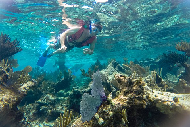 Private Tulum Ruins, Reef Snorkel & Cenote Adventure - Tulum ruins and the Caribbean view