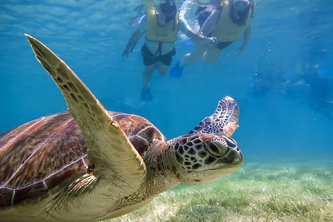 Private Tulum Ruins, Turtles in Akumal and Cenote Adventure - One day, three sides of the Riviera Maya