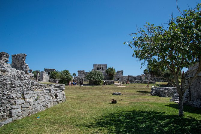 Private Tulum Ruins, Turtles in Akumal and Cenote Adventure - A cenote swim beneath the rainforest
