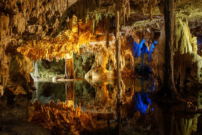 Private Turtles & Cenotes Adventure - What is included, and what costs extra