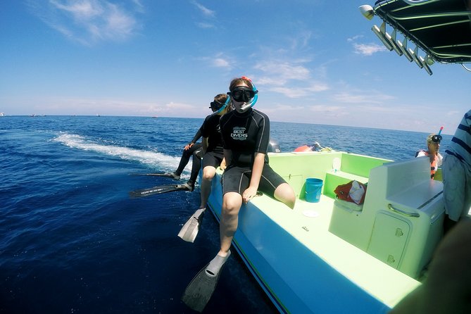 Private Whale Shark All Inclusive Experience - Swimming With Whale Sharks in Protected Waters