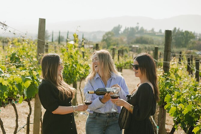 Private Wine Tour by Ansell Tours - What the $275 price really buys