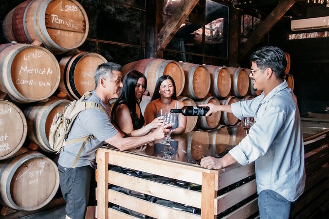 Private Wine Tour by Ansell Tours - Vena Cava: creative architecture and a lively finish