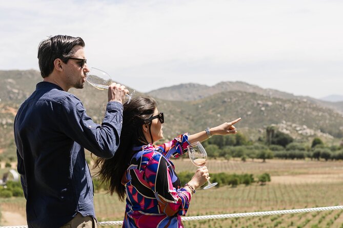 Private Wine Tour by Ansell Tours - Pickup from Ensenada, the valley, or the cruise port