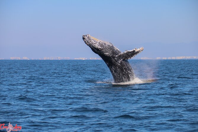 Private Yacht Charter on ChicaFun 1 Waterslides all inclusive - Las Caletas favors relaxation over sightseeing