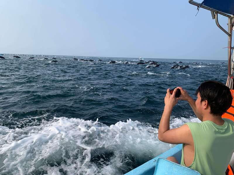 Puerto Escondido: Boat Tour to see Dolphins and Marine Life - Key points to know before you book