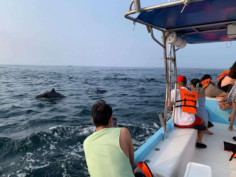 Puerto Escondido: Boat Tour to see Dolphins and Marine Life - Is $46 a good value?