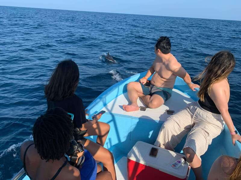 Puerto Escondido: Boat Tour to see Dolphins and Marine Life - What the guides add to the experience