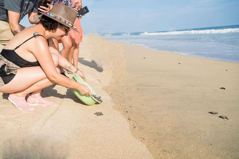 Puerto Escondido: Turtle Release Experience - Key points to know before booking