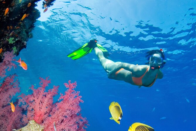 Puerto Morelos Catamaran Reef Sail and Snorkel - Boarding a spacious boat with room to breathe