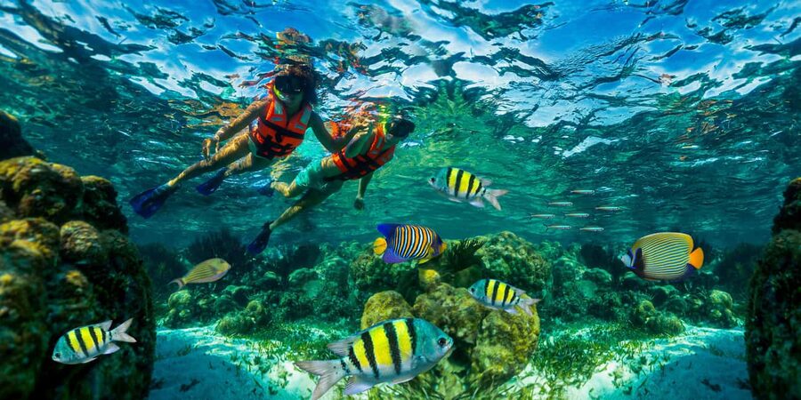 Puerto Morelos: Snorkel, Town Walk, Tequila & Beach Lunch - Quick Takeaways From the Puerto Morelos Tour