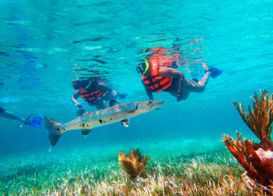 Puerto Morelos: Snorkel, Town Walk, Tequila & Beach Lunch - Eighty Minutes on the Great Mayan Reef