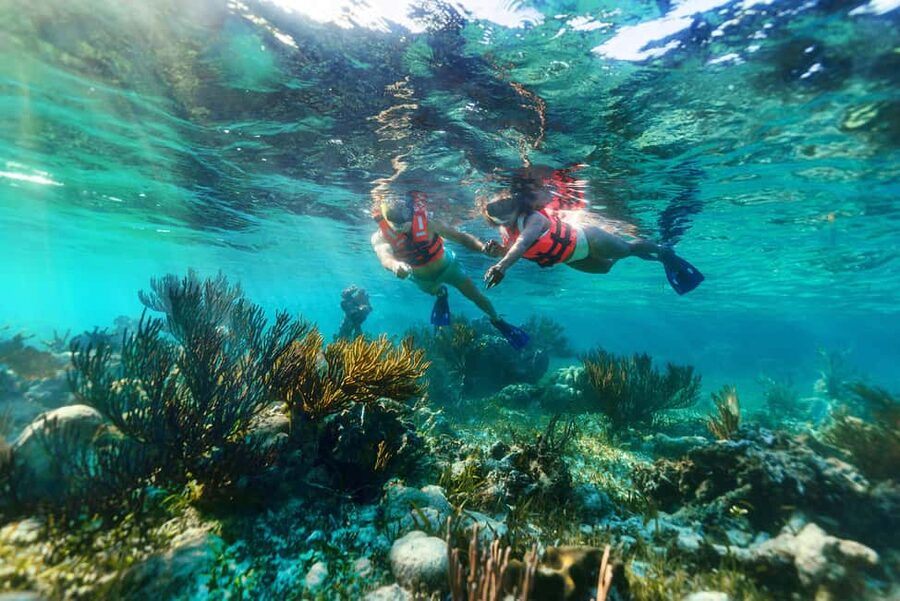 Puerto Morelos: Snorkel, Town Walk, Tequila & Beach Lunch - Who Will Enjoy This Most